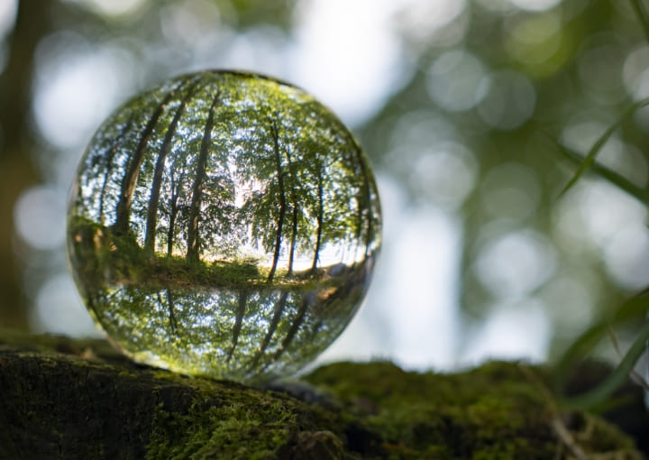 環境への取り組み